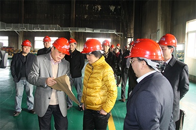 2012年1月31日，時任嘉興市委書記魯俊率領市發改委等市級部門負責人到公司調研