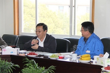 2013年3月18日，時任國家工信部節能司副司長楊鐵生一行蒞臨公司參觀指導
